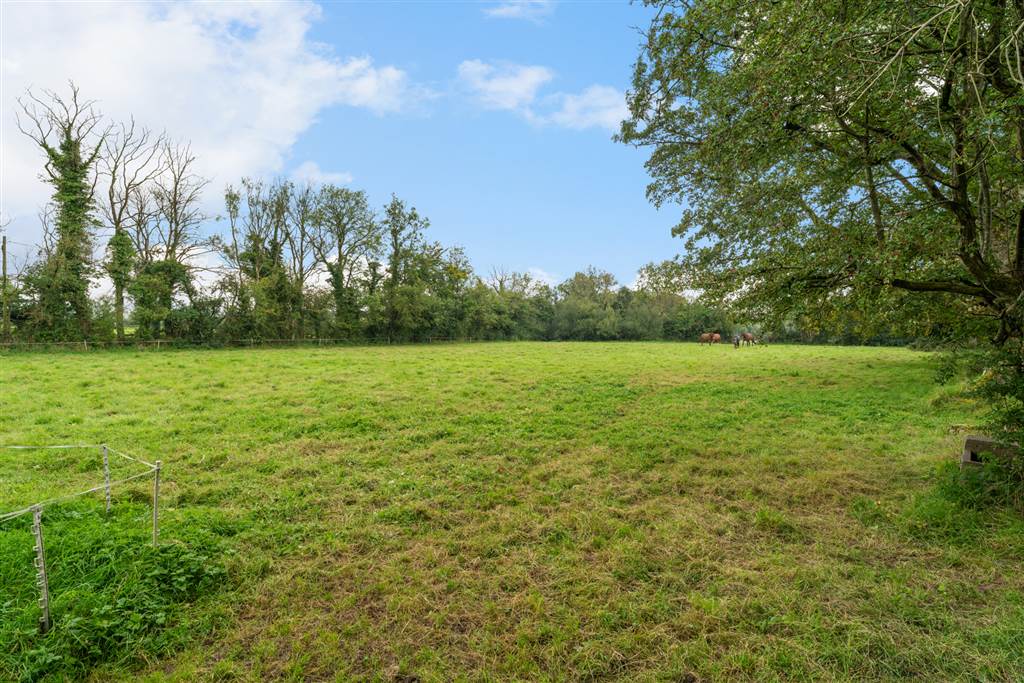 A Smallholding Totalling 12.3 acres