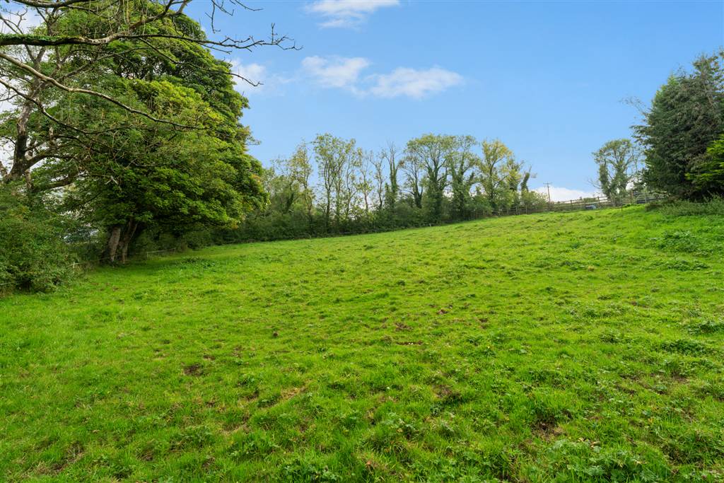A Smallholding Totalling 12.3 acres