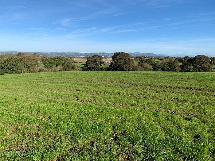 Approx 97 acres of Prime Agricultural Lands, Royal Hillsborough